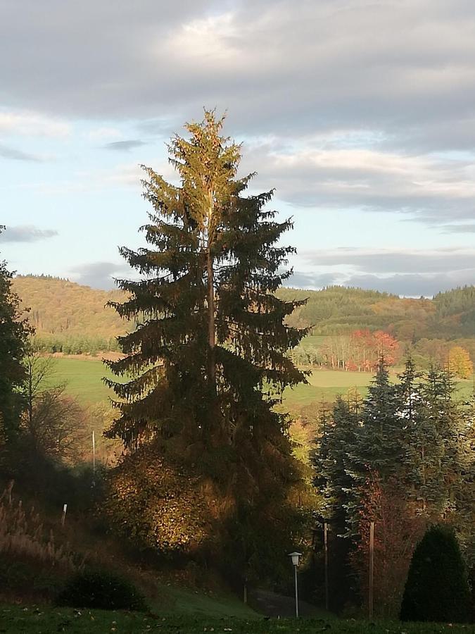 Ferienwohnung-In-Schoenster-Lage Baar  Екстер'єр фото
